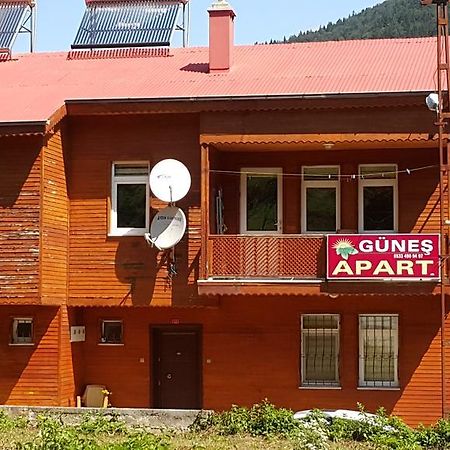 Guenes Apart Apartment Uzungol Exterior photo